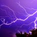 tree sky light weather electricity storm storm dark lightning nighttime electric lightening t20 g6Gbjx resize ThunderNews